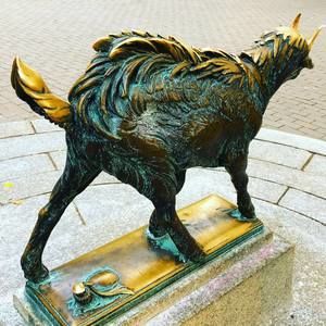 Meet your Posher, Sue